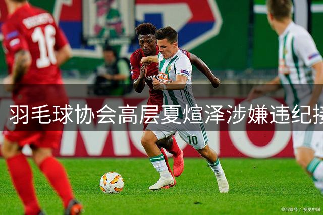 羽毛球协会高层夏煊泽涉嫌违纪接受调查